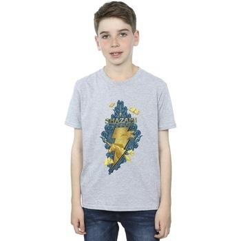 T-shirt enfant Dc Comics Shazam Fury Of The Gods Golden Animal Bolt