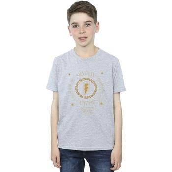 T-shirt enfant Dc Comics Shazam Fury Of The Gods Golden Spiral Chest