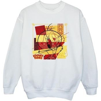 Sweat-shirt enfant Dessins Animés BI23737