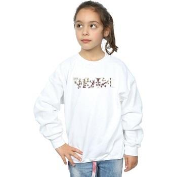 Sweat-shirt enfant Dessins Animés Wile E Coyote Colour Code