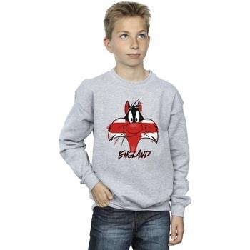 Sweat-shirt enfant Dessins Animés BI24028