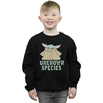 Sweat-shirt enfant Disney The Mandalorian Unknown Species