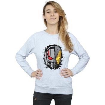 Sweat-shirt Marvel Ant-Man Split Helmet