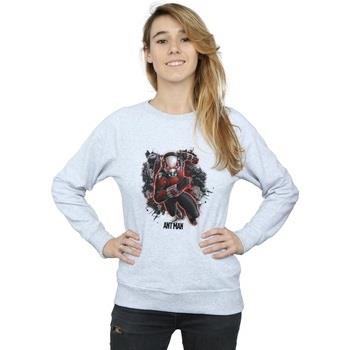 Sweat-shirt Marvel Ant-Man Ants Running