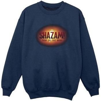 Sweat-shirt enfant Dc Comics Shazam Fury Of The Gods 3D Logo Flare