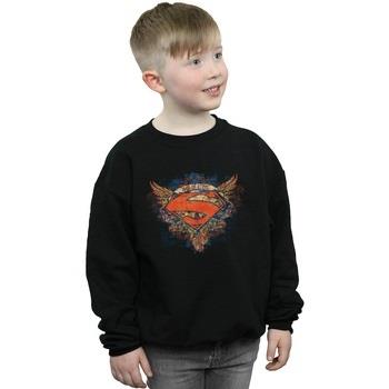 Sweat-shirt enfant Dc Comics Superman Wings Shield