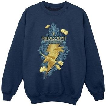 Sweat-shirt enfant Dc Comics Shazam Fury Of The Gods Golden Animal Bol...