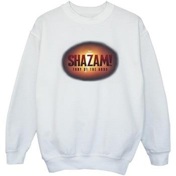 Sweat-shirt enfant Dc Comics Shazam Fury Of The Gods 3D Logo Flare