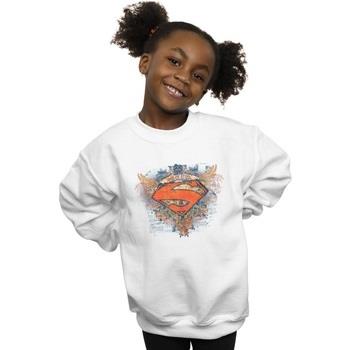 Sweat-shirt enfant Dc Comics BI34187