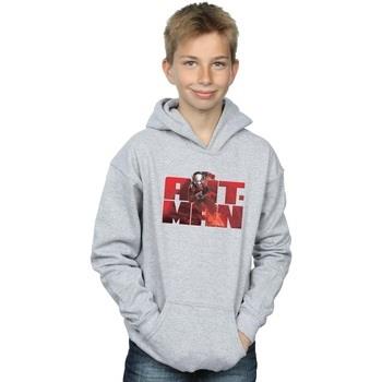 Sweat-shirt enfant Marvel Ant-Man Running