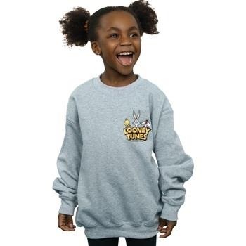 Sweat-shirt enfant Dessins Animés Group Faux Pocket