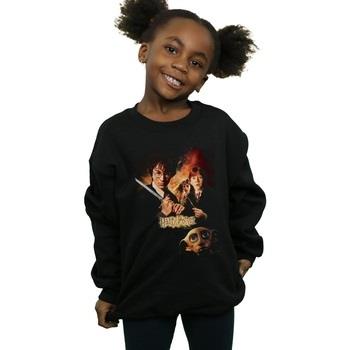 Sweat-shirt enfant Harry Potter Chamber Of Secrets