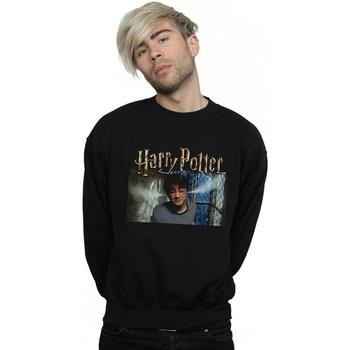 Sweat-shirt Harry Potter Steam Ears