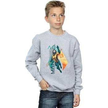 Sweat-shirt enfant Dc Comics BI6312