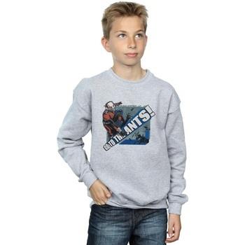 Sweat-shirt enfant Marvel Go To The Ants