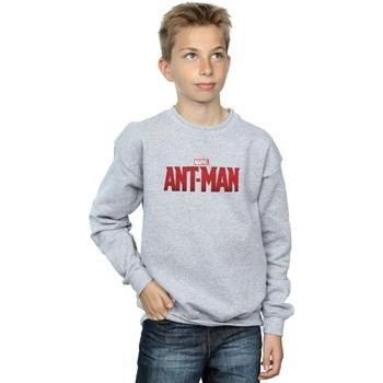 Sweat-shirt enfant Marvel BI5807