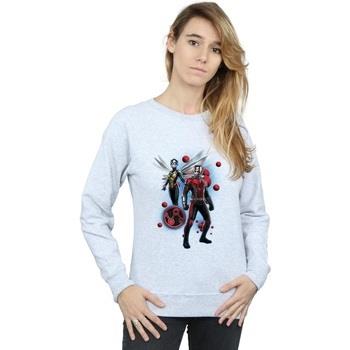 Sweat-shirt Marvel Ant-Man And The Wasp Particle Pose