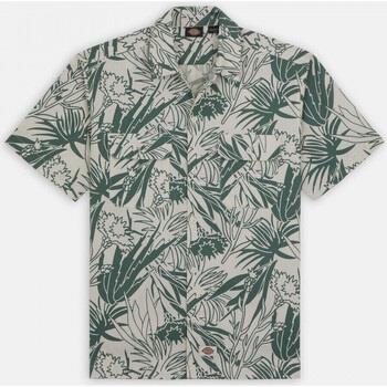 Chemise Dickies Max meadows shirt ss