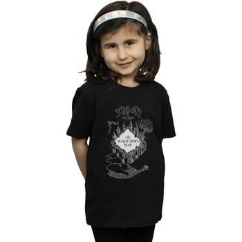 T-shirt enfant Harry Potter BI20873