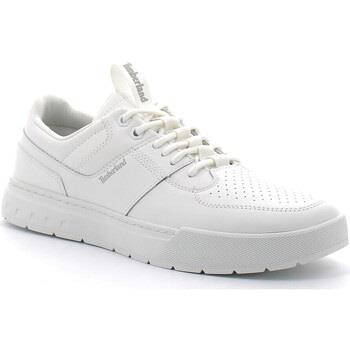Baskets Timberland Maple Grove Sport Low