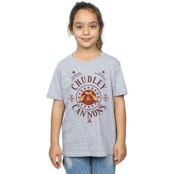 T-shirt enfant Harry Potter Chudley Cannons Logo