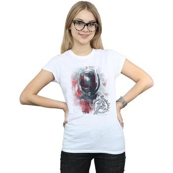 T-shirt Marvel Avengers Endgame Ant-Man Brushed