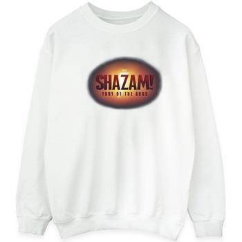 Sweat-shirt Dc Comics Shazam Fury Of The Gods 3D Logo Flare