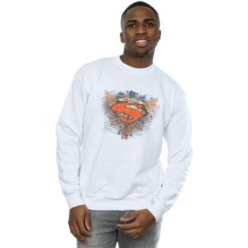 Sweat-shirt Dc Comics Superman Wings Shield