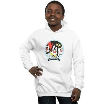 Sweat-shirt enfant Animaniacs Fisheye Group