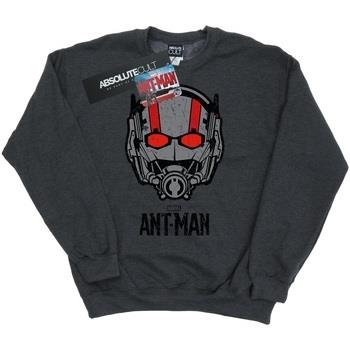 Sweat-shirt Marvel Ant-Man Helmet