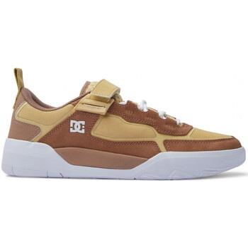Chaussures de Skate DC Shoes METRIC X WILL brown tan