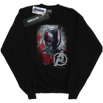 Sweat-shirt Marvel Avengers Endgame Ant-Man Brushed