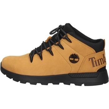 Chaussures Timberland TB0A2FEP231