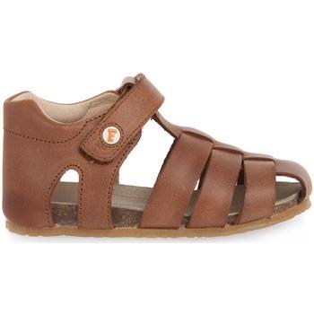 Chaussures enfant Naturino FALCOTTO 0D07 ALBY CUOIO