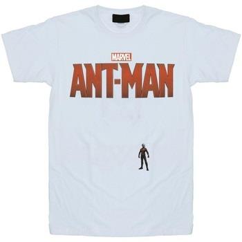 T-shirt enfant Marvel Ant-Man Tiny