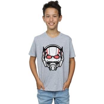 T-shirt enfant Marvel Ant-Man Helmet Distressed