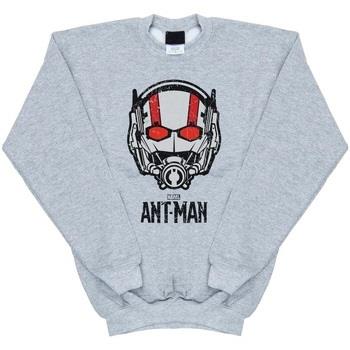 Sweat-shirt enfant Marvel BI5724