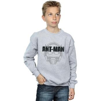 Sweat-shirt enfant Marvel Ant-Man Helmet Fade