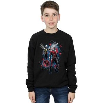 Sweat-shirt enfant Marvel Ant-Man And The Wasp Particle Pose