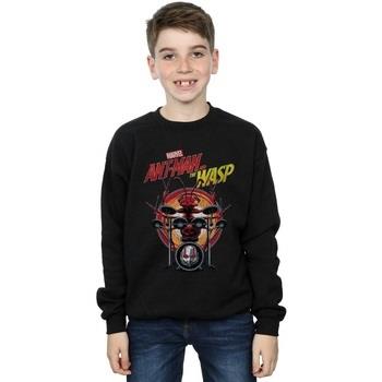 Sweat-shirt enfant Marvel Ant-Man And The Wasp Drummer Ant