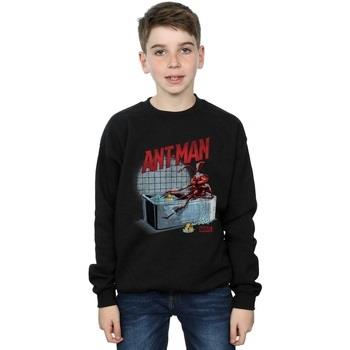 Sweat-shirt enfant Marvel Ant-Man And The Wasp Bathing Ant