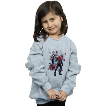 Sweat-shirt enfant Marvel Ant-Man And The Wasp Particle Pose