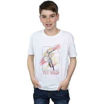 T-shirt enfant Marvel Ant-Man And The Wasp Framed Wasp