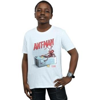 T-shirt enfant Marvel Ant-Man And The Wasp Bathing Ant