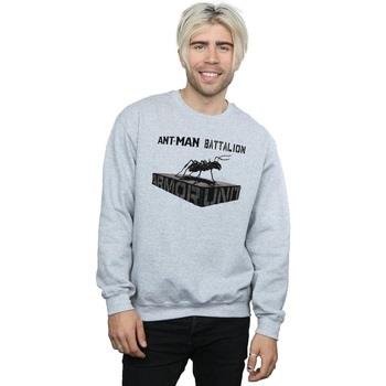 Sweat-shirt Marvel Ant-Man Batallion