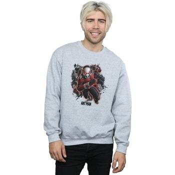 Sweat-shirt Marvel Ant-Man Ants Running