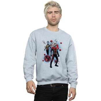 Sweat-shirt Marvel Ant-Man And The Wasp Particle Pose