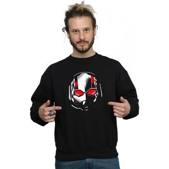 Sweat-shirt Marvel Ant-Man And The Wasp Scott Mask