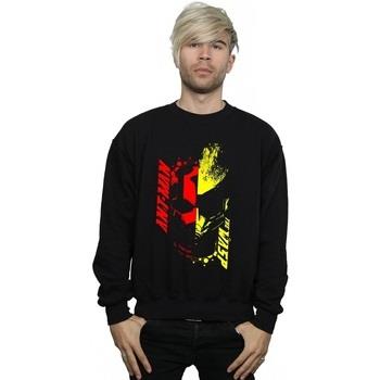 Sweat-shirt Marvel Ant-Man And The Wasp Split Face