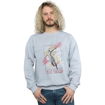 Sweat-shirt Marvel BI8603